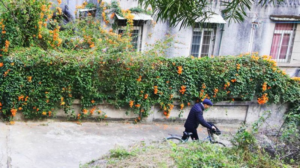 重回廈門10年前的文藝圣地，在記憶中的咖啡館虛度時光…