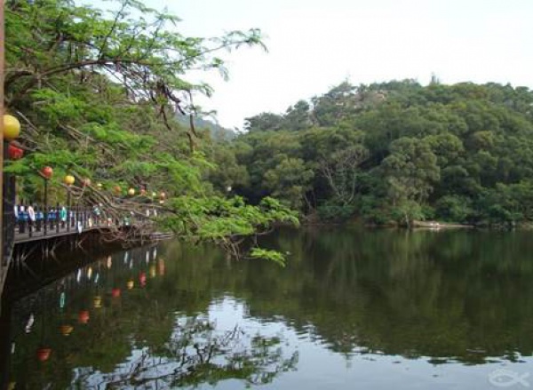 廈門螢火蟲公園