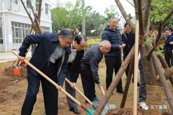 看櫻花不去日本來集大！師生校友“以愛之名”澆灌它