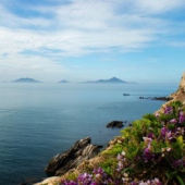 漳浦東山島