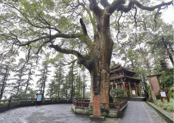 安溪清水巖寺→新北三峽祖師廟：有安溪人的地方就有清水祖師