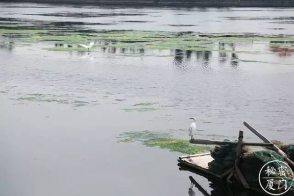 美食地圖丨今天天氣真正好，跟吃貨團暴走集美學村~