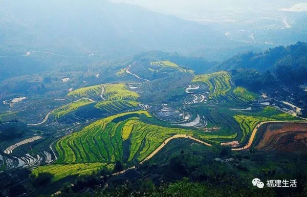 收藏！最新最全的福建油菜花地圖就在這兒啦