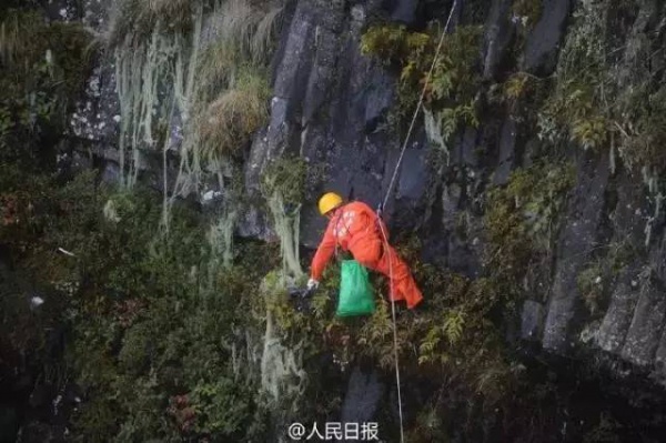 這20個人趕緊滾出廈門，立刻！馬上！