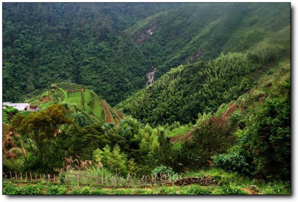 淡溪村_同安淡溪村_淡溪村