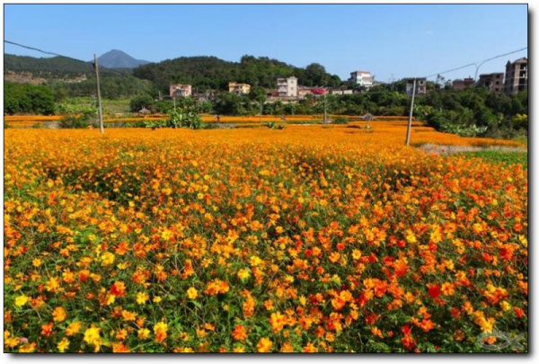 前格村好玩嗎_前格村怎么去(在哪里)_前格村門票多少錢?_前格村