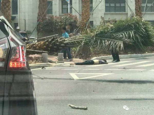 廈門一轎車瘋狂沖向安全島，現(xiàn)場一片狼藉，三死五傷…綠燈過馬路也要注意安全！