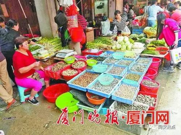 注意！這種“甲錐螺”近期上市毒性難辨，集美人莫貪美味盲目食用！