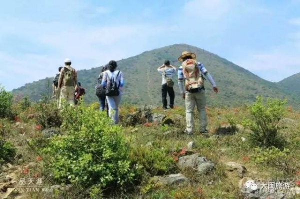 去玩|廈門云頂山火了！原因竟是因?yàn)橛成郊t又雙叒叕紅了...