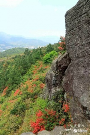 去玩|廈門云頂山火了！原因竟是因?yàn)橛成郊t又雙叒叕紅了...