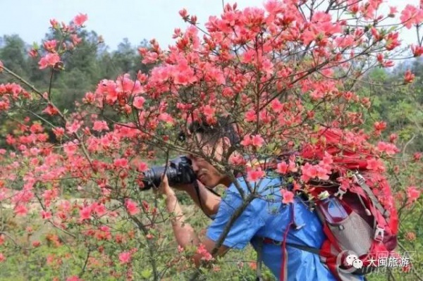 去玩|廈門云頂山火了！原因竟是因?yàn)橛成郊t又雙叒叕紅了...