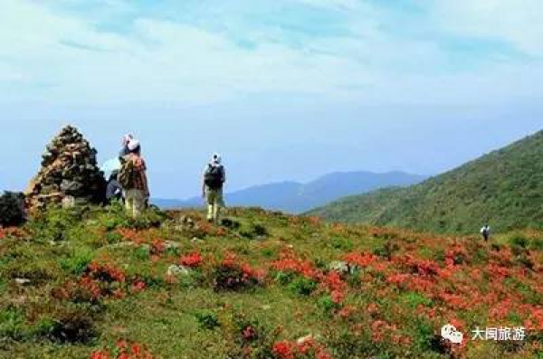 去玩|廈門云頂山火了！原因竟是因?yàn)橛成郊t又雙叒叕紅了...