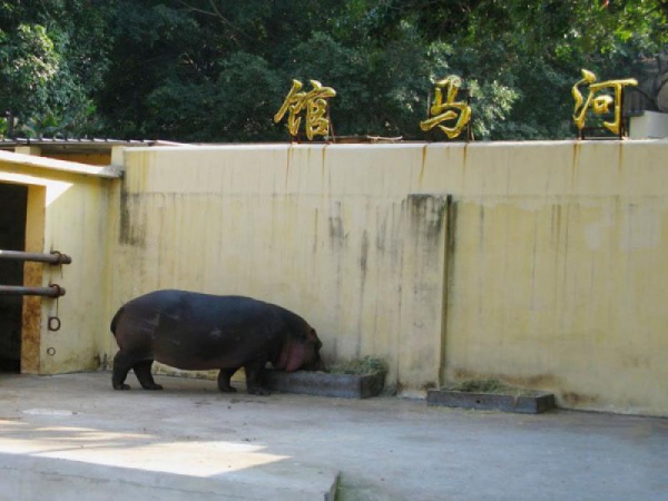 漳州動物園_<a style=