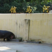 薌城漳州動物園