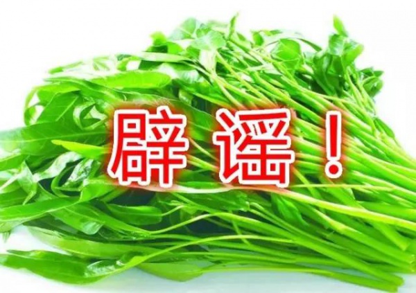 空心菜最毒？鯰魚最臟？西紅柿與蝦蟹會(huì)產(chǎn)生砒霜？答案來(lái)了