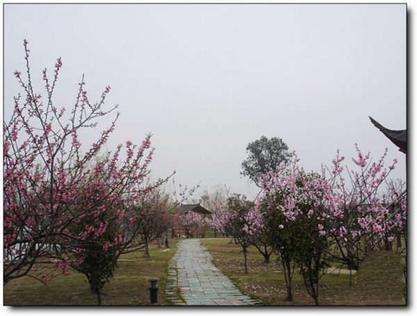 桃源休閑農莊_閩侯桃源休閑農莊_桃源休閑農莊