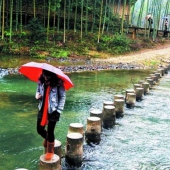 閩清豐達(dá)生態(tài)園