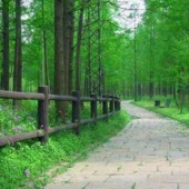 平潭島國家森林公園