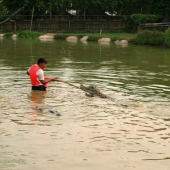 臺江鰲峰公園