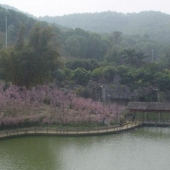 大田梅園山莊