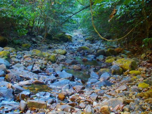 三明九阜山_尤溪九阜山(福建三明)_九阜山