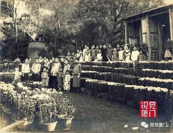 注定留不住的鼓浪嶼菽莊花園，一次次毀滅和重生