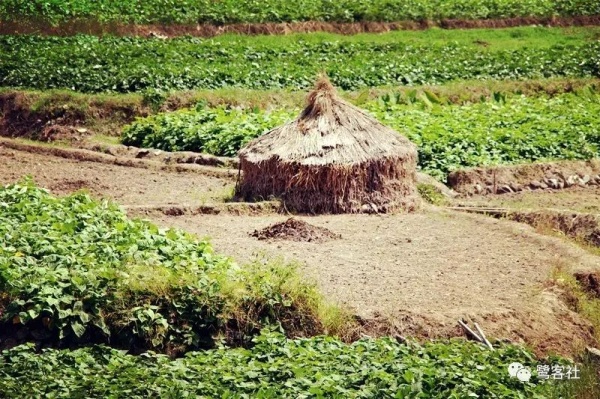 南安官橋曙光村（一）：向北，向北，直到那飄蕩著地瓜香的土地